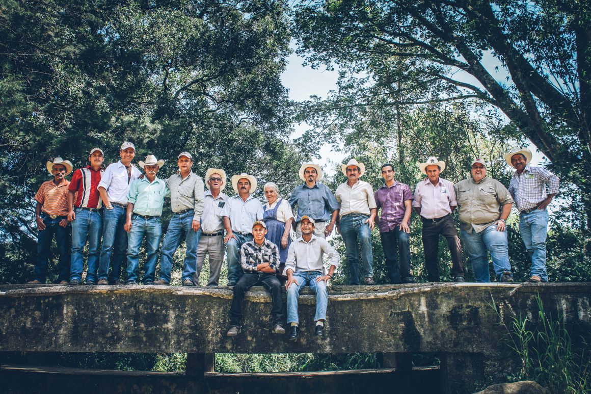 Brewing coffee is Thrive Farmers' specialty.